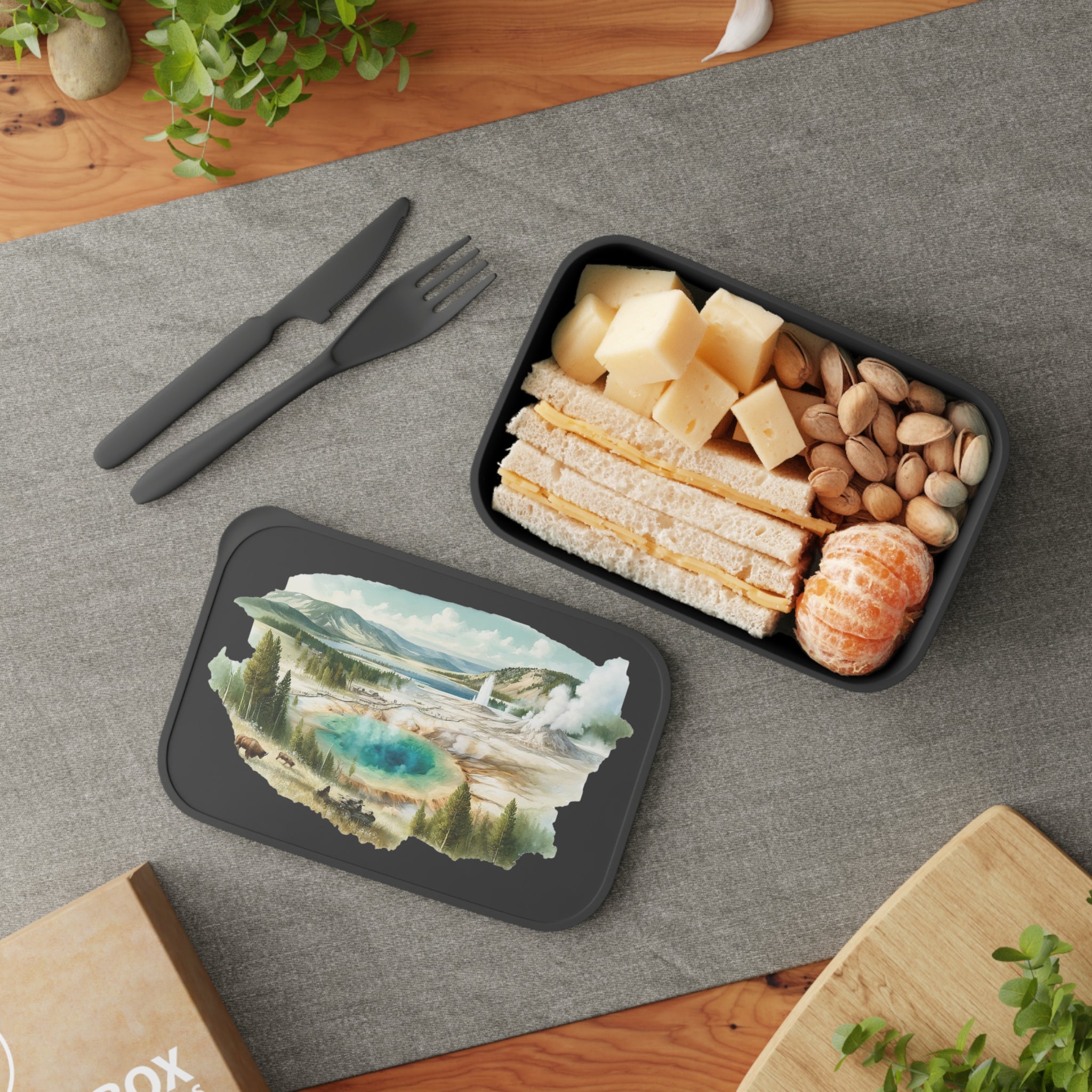 How to Choose the Best Lunch Box for Kids